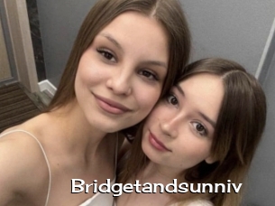 Bridgetandsunniv