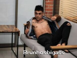 Brunhosbigass