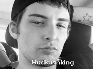 Budkushking