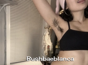 Bushbaeblanca