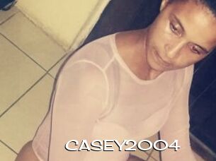 CASEY2004