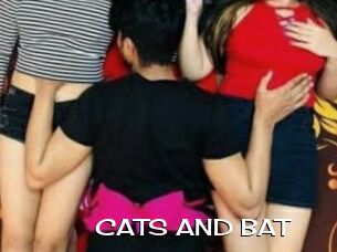 CATS_AND_BAT