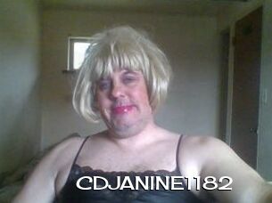 CDJANINE1182