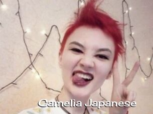 Camelia_Japanese