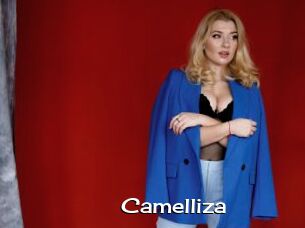 Camelliza
