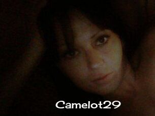 Camelot29