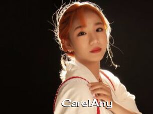 CarelAny