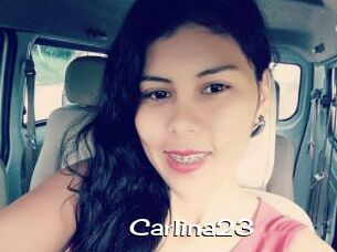 Carlina23