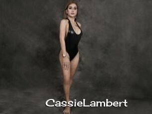 CassieLambert Hardcore Sex Gif