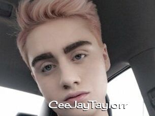 CeeJayTaylorr