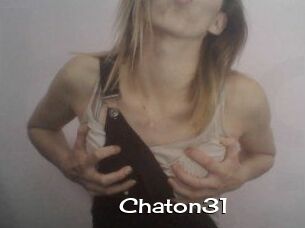 Chaton31