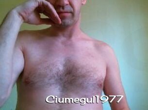 Ciumegul1977