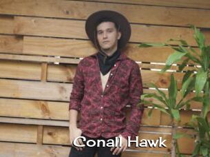 Conall_Hawk