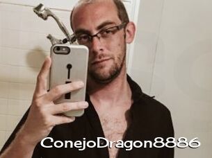 ConejoDragon8886