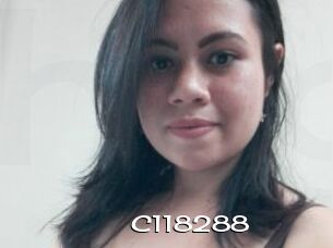 C118288