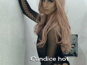 Candice_hot