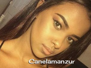 Canelamanzur