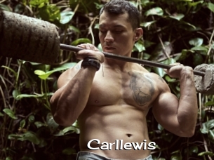 Carllewis