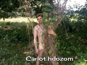 Carlot_hdozom
