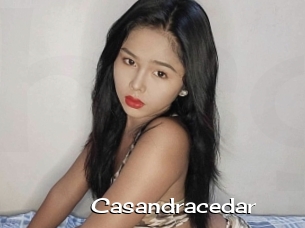 Casandracedar