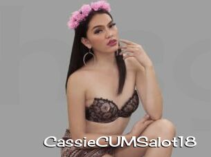 CassieCUMSalot18