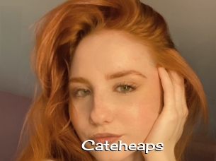 Cateheaps