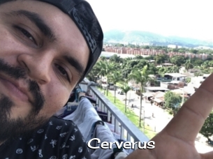 Cerverus