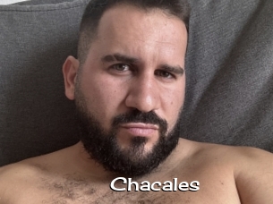 Chacales