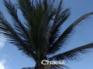 Chacul