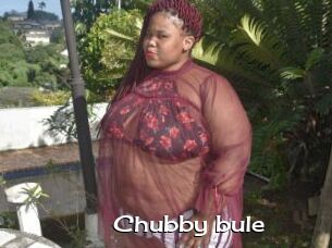 Chubby_bule