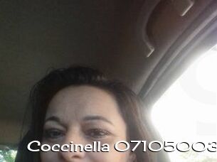 Coccinella-07105003