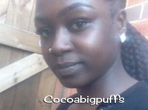 Cocoabigpuffs