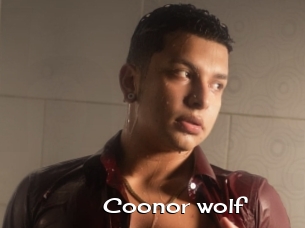 Coonor_wolf