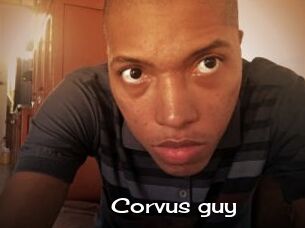 Corvus_guy