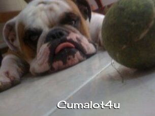 Cumalot4u