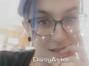 DaisyAster