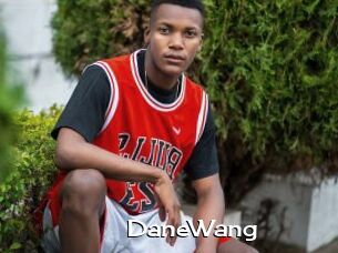 DaneWang