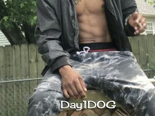 Day1DOG