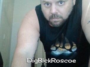 DigBickRoscoe