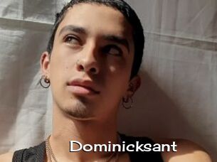 Dominicksant