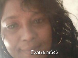 Dahlia66