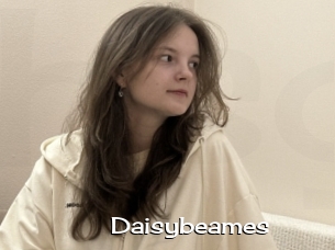 Daisybeames