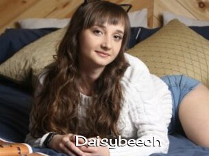Daisybeech