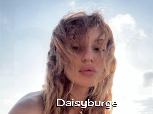 Daisyburge