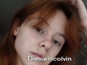 Damariscolvin