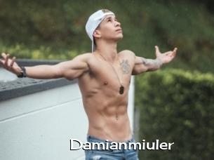Damianmiuler