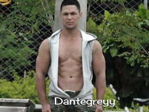 Dantegreyy