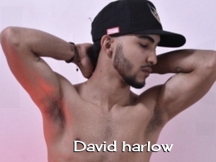 David_harlow