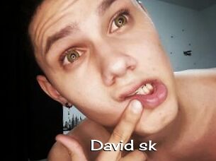David_sk