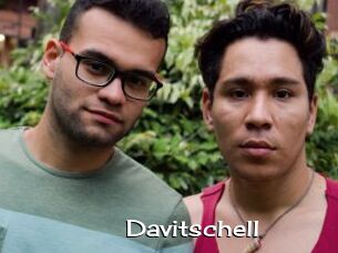 Davitschell